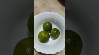 Organic Chinese orange Juicetrendingshortsvideoyoutubeshortsfood youtube youtuber spicessub [upl. by Adnirb]