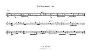 The Blackhaired Lass  Reel on Irish flute [upl. by Canon360]