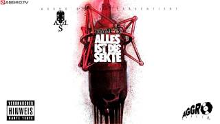 ROYAL TS SIDO amp BTIGHT OPFERMX NR 2  ALLES IST DIE SEKTE  ALBUM  TRACK 05 [upl. by Kolnick131]