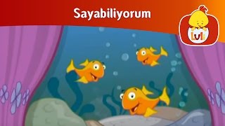 Sayabiliyorum  İki sayı Luli TV [upl. by Adnamar]