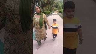 Amaira ok mili badi vali fish 🐠🐠shorts fish viral youtubeshorts [upl. by Marilla]