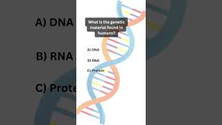 What carries amino acids to ribosomes during protein synthesis Ans tRNA [upl. by Eben808]