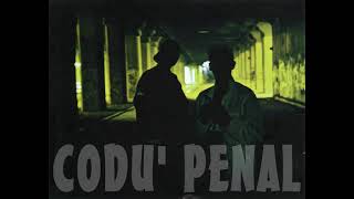 Codu Penal ft Puya amp Sharky  Pentru cine se simte Instrumental REMAKE [upl. by Ceevah]