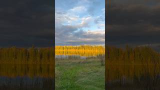 Bear Lake during sunset in Eielson AFB Alaska during mid September 2024 [upl. by Allbee929]