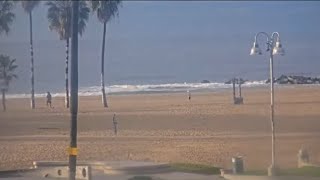 Venice Beach Webcam  Venice Beach Live Cam  venice beach live boardwalk cam [upl. by Aradnahc773]