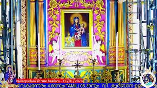 11 JANUARY 2024  0530 PM  LIVE HOLY MASS  വിശുദ്ധ കുർബാന  VALLARPADAM SHRINE BASILICA [upl. by Belldame]