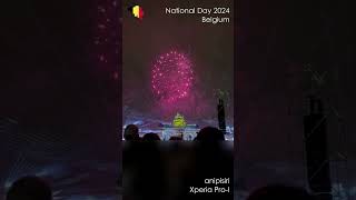 Shorts Celebrate Belgium  National Day 2024 Fireworks  Drone  Laser [upl. by Arutnev985]