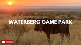 Experience Waterberg Game Park in 30 seconds [upl. by Yrrak19]