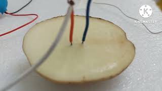 Class 8  Activity to demonstrate change in colour due to Chemical effect of electric current [upl. by Whitnell]