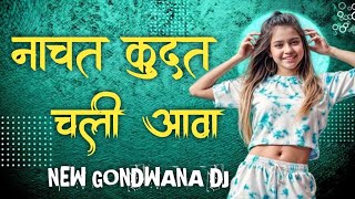 नाचत कूदत चली आवा  OLD GONDI REMIX SONG  NEW GONDWANA DJ MIX 2024 [upl. by Bambi]