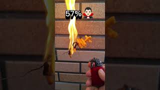 Cheese Puffs 🧀 🆚 lighters  What is it made of lighter youtubeshorts snacks shortvideo short [upl. by Ybrek]