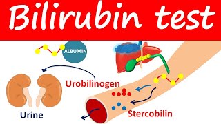 Bilirubin test  Direct Indirect amp Total bilirubin levels [upl. by Adai990]