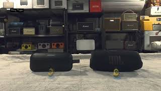 Bose Soundlink Flex vs JBL Charge 5 [upl. by Avram484]