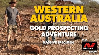 WOW Massive Specimen Gold Adventure in Western Australia [upl. by Ecnerret943]