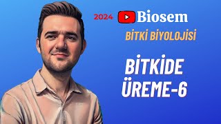 Bitki Biyolojisi  Bitkide Üreme6 Konu Anlatımı 12 Sınıf Biyoloji [upl. by Brown]