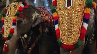 srirangam temple elephant andal and lakshmi praying🙏 [upl. by Ardolino]