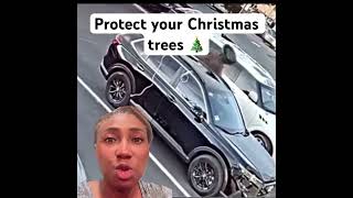 Protect your Christmas trees ytshorts [upl. by Nalod]