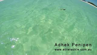 Elite Tackle Adhek Penipen Stickbait [upl. by Ennahtur]