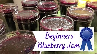 🫐 Homemade BLUEBERRY JAM  EASY Step by Step Recipe with PECTIN [upl. by Nehr593]