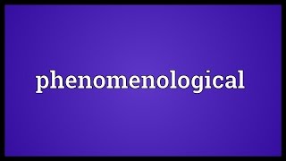 Phenomenological Meaning [upl. by Michaeline]