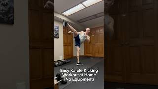 Easy Karate Kicking Workout at Home No Equipment Needed [upl. by Sulamith]