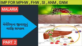 Malaria life cycle in Gujaratiplasmodium life cycle in Gujarati [upl. by Stedman]