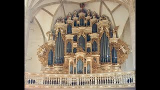 Night impressions of the Merseburg Cathedral organ [upl. by Leuqcar]