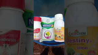 Nativo fungicide combination with destiny amp chandika insecticide  farming nativo agriculture [upl. by Hollie]