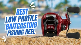 Best Low Profile Baitcasting Fishing Reel [upl. by Kciredorb10]