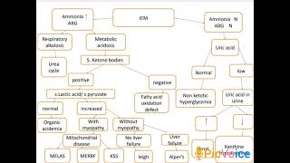 inborn error metabolism approach [upl. by Sparkie311]