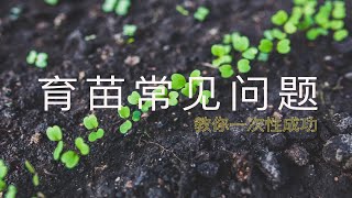 育苗常见问题｜解决办法｜育苗三大要素｜LED植物生长灯 [upl. by Ardnuahc443]