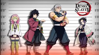 Demon Slayer Character Heights How Tall Each Character Really Is  Kimetsu no Yaiba [upl. by O'Mahony]