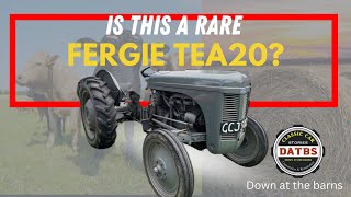 Ferguson TEA20 HOW RARE IS THIS TRACTOR  Down at the barns te20 [upl. by Janeen]