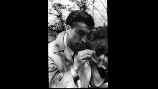 Cesare Pavese  Verrà la morte e avrà i tuoi occhi voce di Vittorio Gassman [upl. by Ferree671]