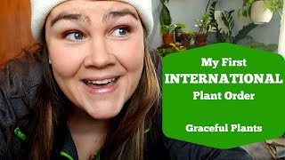 Unboxing Rare House Plants from GreenspacesID  Cheap Rare House Plants  Graceful Plants [upl. by Coltun34]