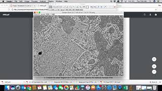 ImageJ Tutorial Area and Threshold [upl. by Safire806]