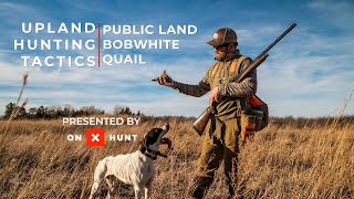 Upland Hunting Tactics with onX Public Land Bobwhite Quail [upl. by Noreh]