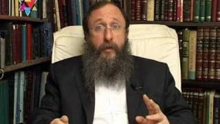 Kashrut for non jewish person Rabbi Chaim Richman [upl. by Leonerd]