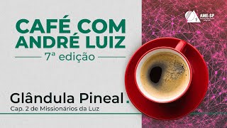 Pílula Glândula Pineal no 7º Café com André Luiz [upl. by Langley260]