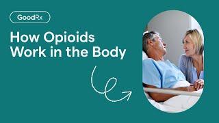 How Opioids Work in the Body  GoodRx [upl. by Palgrave]