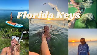 Florida Keys Vlog Manatees sharks and night swimming [upl. by Eustashe292]