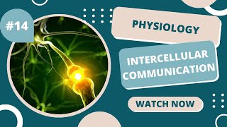 Physiology  Intercellular communication  lecture 16  By shahed tanineh [upl. by Hillegass740]