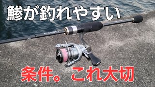 【アジング】これ知らないと全く釣れないです。釣れてるアングラーさんは既に動いてます [upl. by Kerwon]