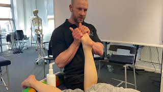 Lower leg massage techniques [upl. by Ulick]