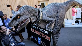 Dino auf der Klimakonferenz Aussterben ist nicht spaßig  AFP [upl. by Kauslick]