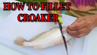 How to fillet croaker🐠 Beginners🌼 [upl. by Flosi24]