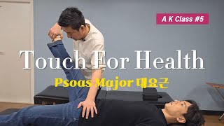 【AK】 Touch for health Kinesiology kidney meridian 대요근 검사 치료 [upl. by Akemrej497]