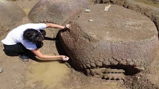 Ancient Armadillo The Size Of A Car Discovered By Farmer In Argentina [upl. by Menedez]