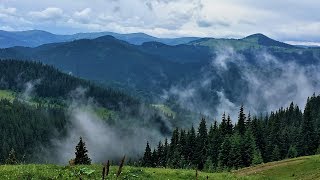 The beauty of the Carpathian Mountains  Air video in 4K Карпаты с высоты птичьего полета [upl. by Aciretahs21]