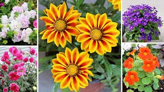 30 BEST Winter Flowers To GROW In SeptOCT [upl. by Elegna507]